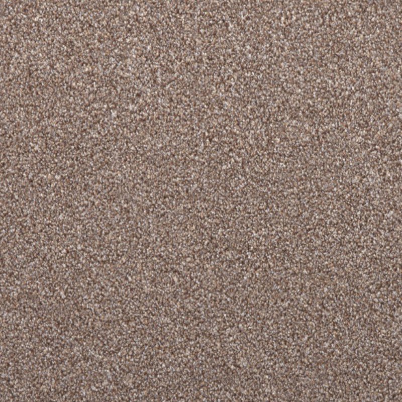 Norfolk & Co. Carpets Holburn Square In Acorn Carpet