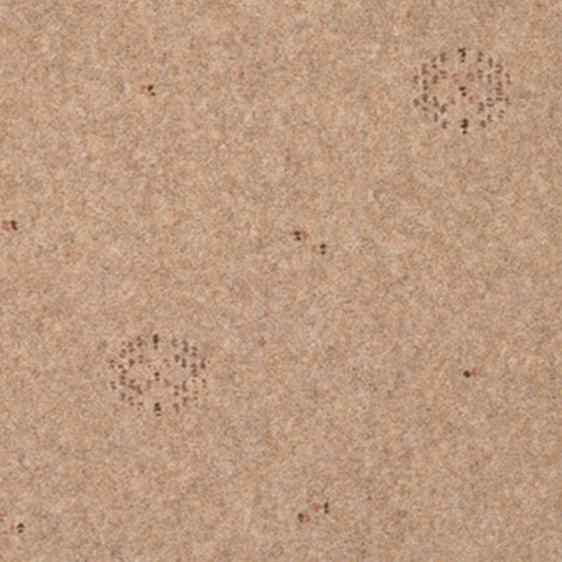 Adam Inspirations In Malted Rye Dianthus Carpet