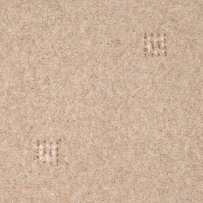 Adam Inspirations In Toasted Almond Decor Carpet
