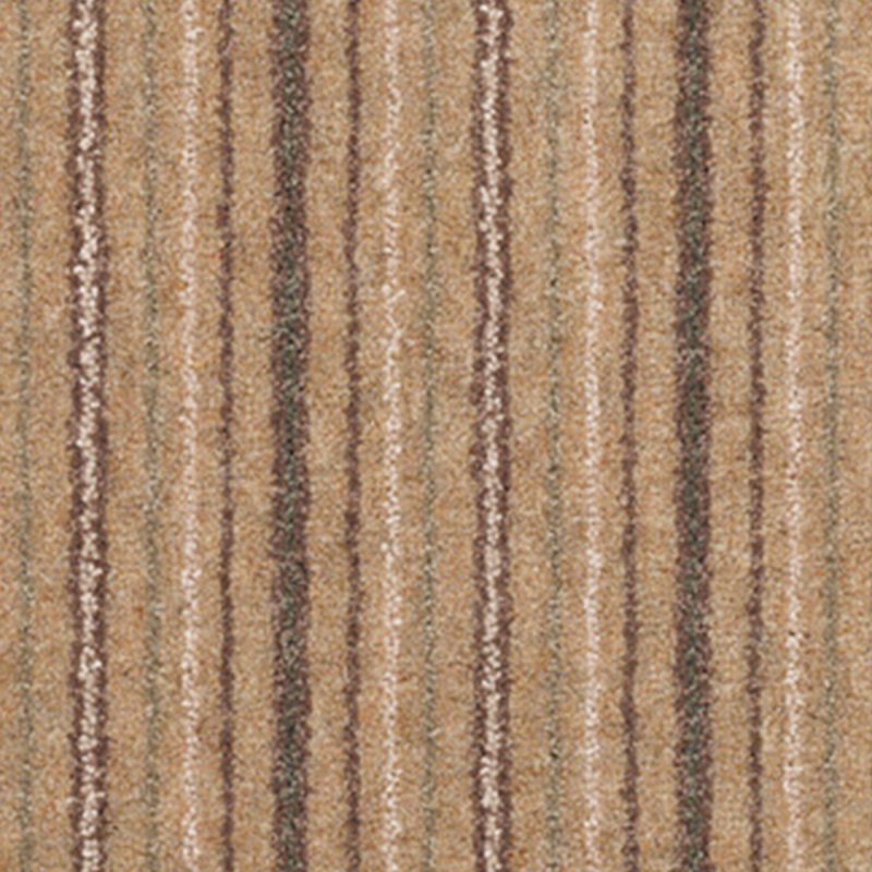 Adam Kasbah Stripe In Coconut Carpet