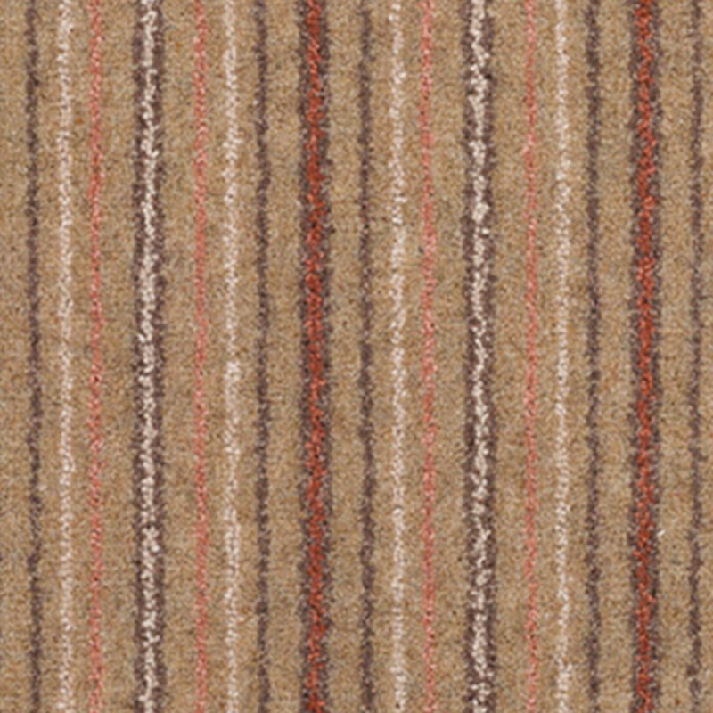 Adam Kasbah Stripe In Pecan Carpet