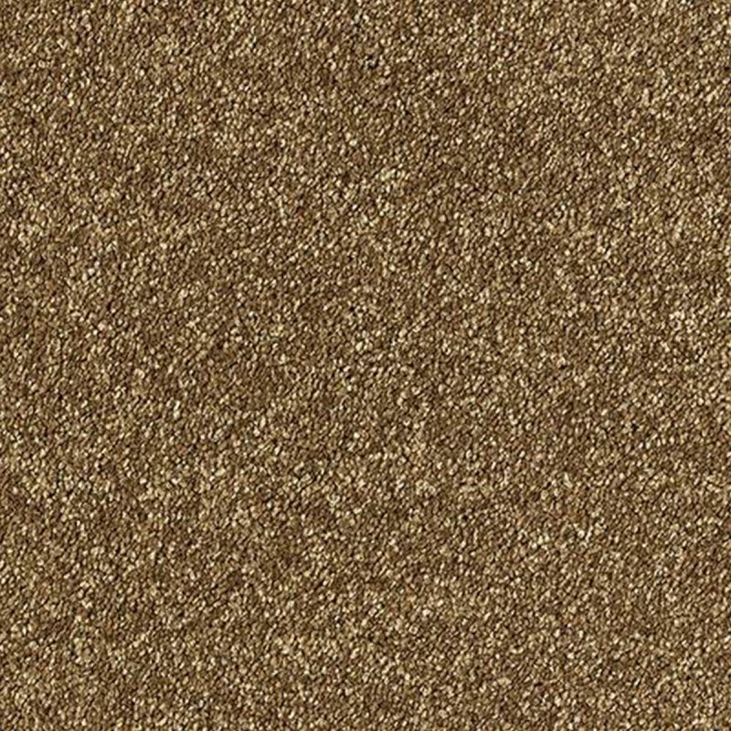 Abingdon Lasting Romance In Rich Caramel Carpet