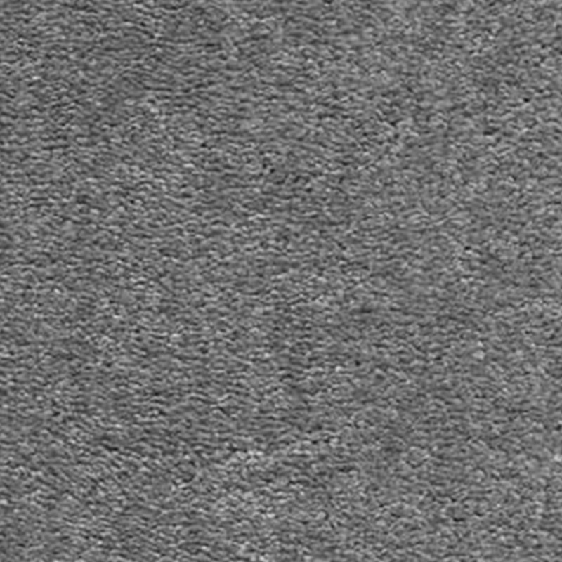 AW Magnificus In Slate Carpet