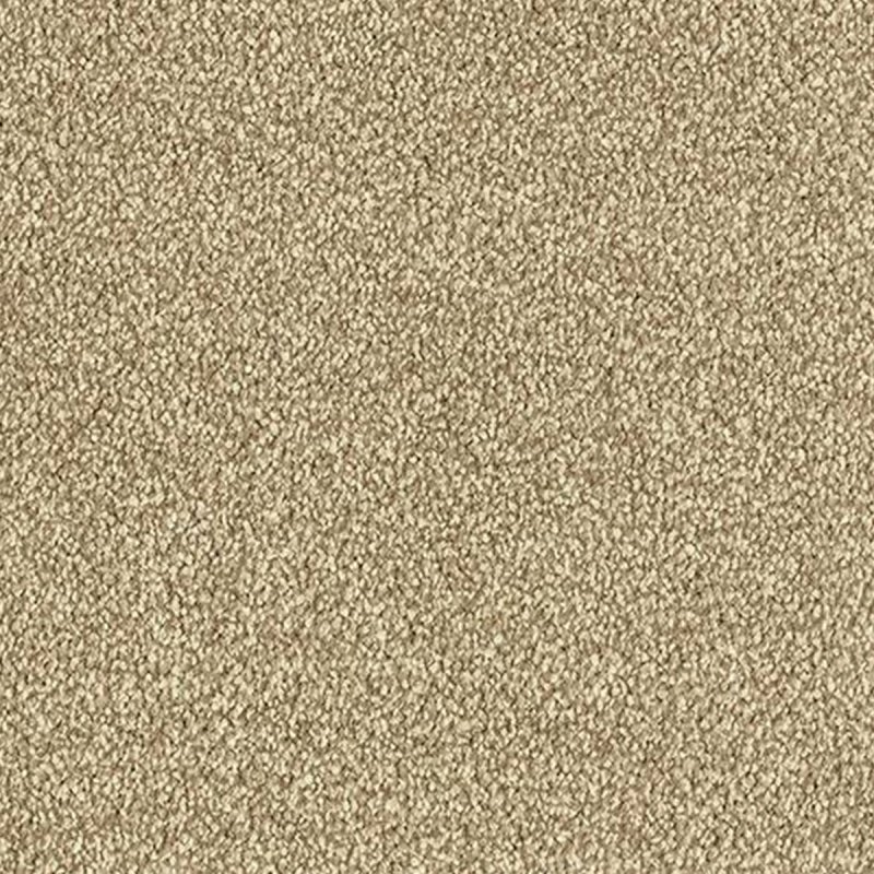 Abingdon Maximus In Biscotti Carpet