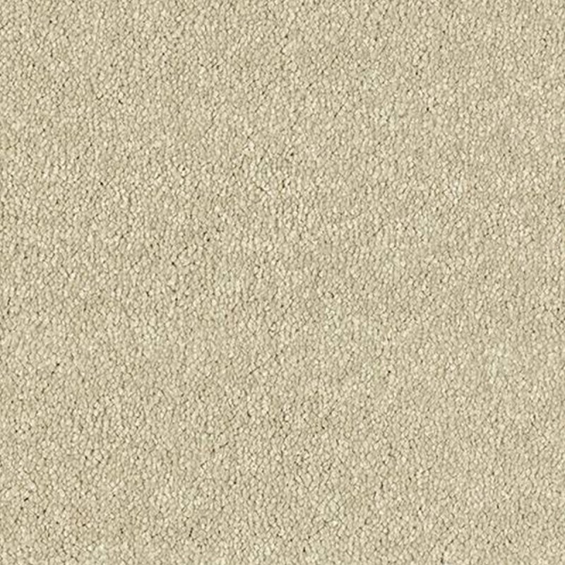 Abingdon Maximus In Manor House Carpet