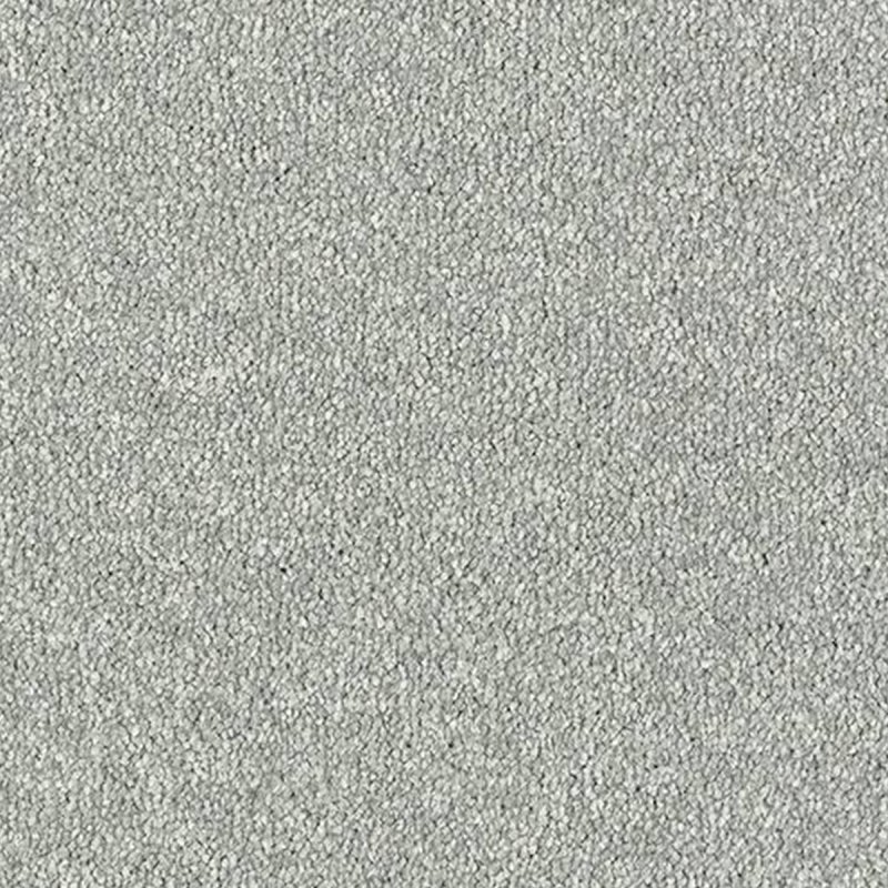Abingdon Maximus In Platinum Carpet