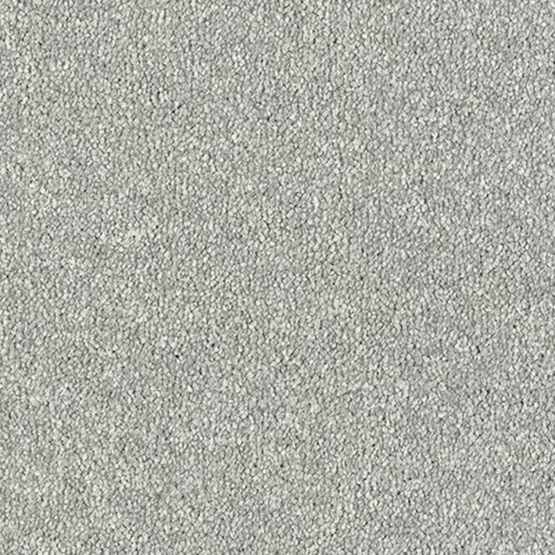 Abingdon Maximus In Platinum Carpet