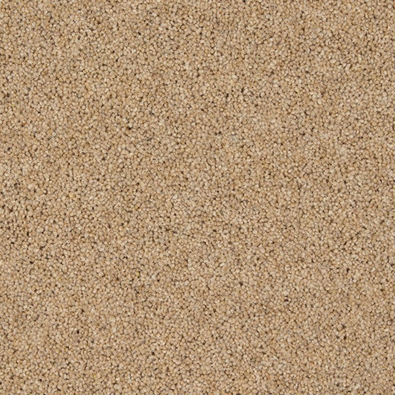 Norfolk Morton Heathers In Goldcrest Carpet