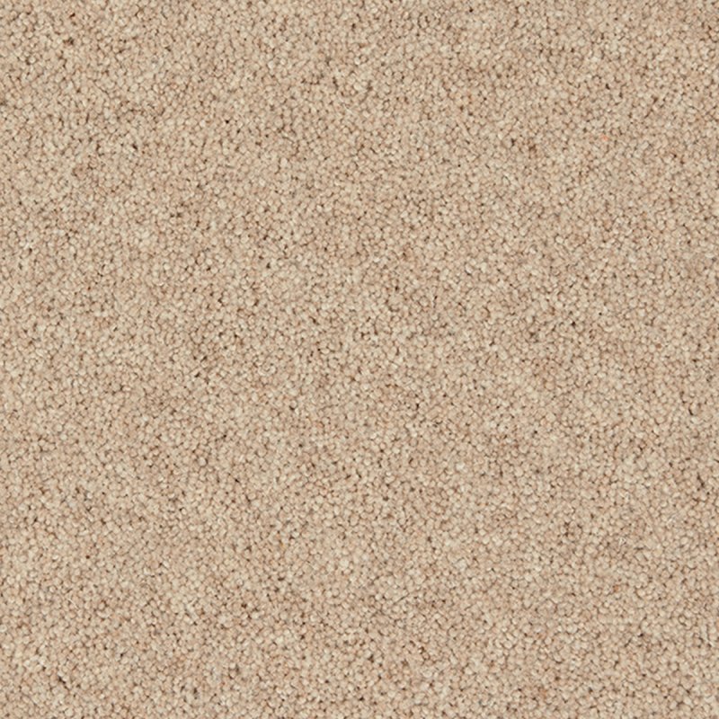 Norfolk & Co. Carpets Morton Heathers In Yardley Stone Carpet