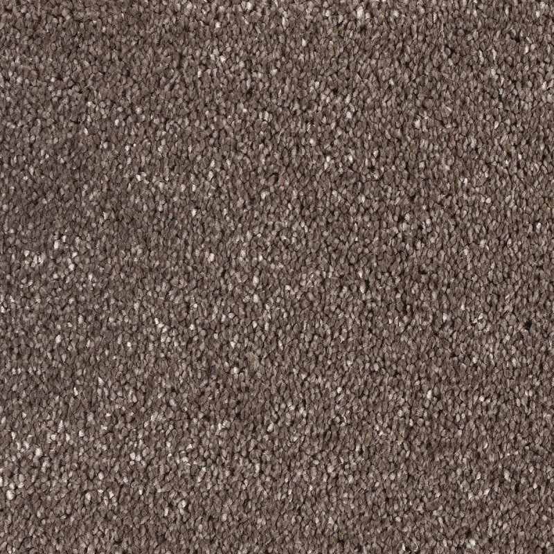 Norfolk Mystify In Almond Carpet