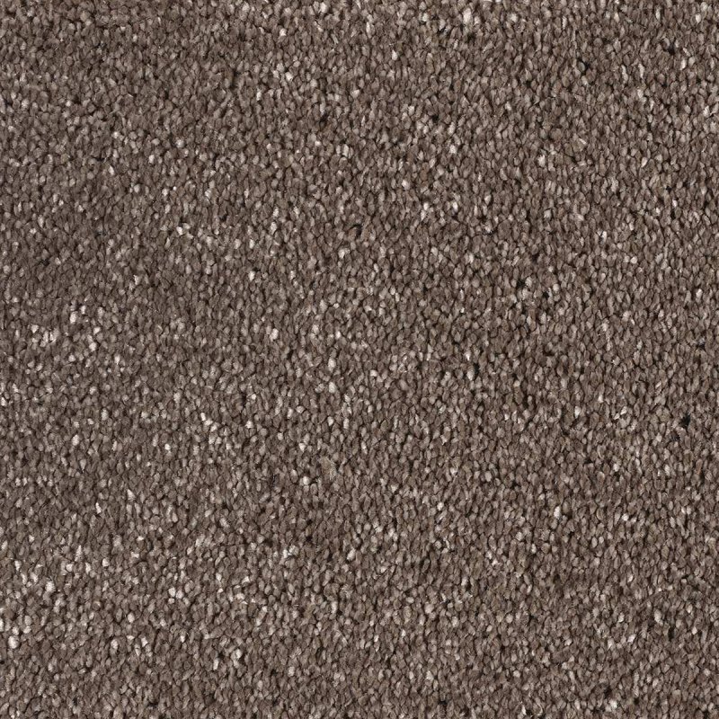 Norfolk & Co. Carpets Mystify In Almond Carpet