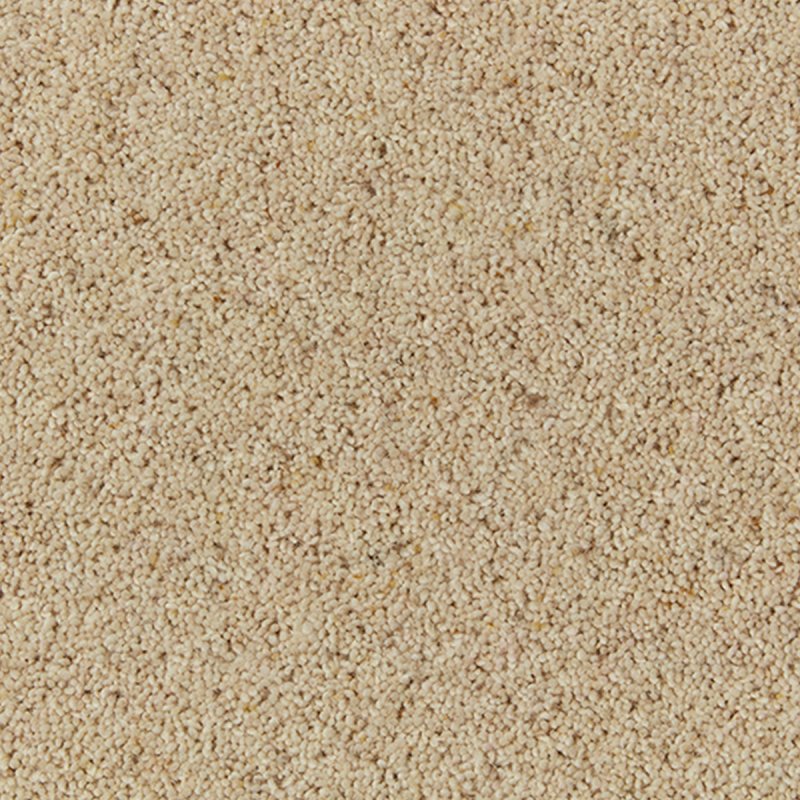 Cormar Natural Berber In Coconut Carpet