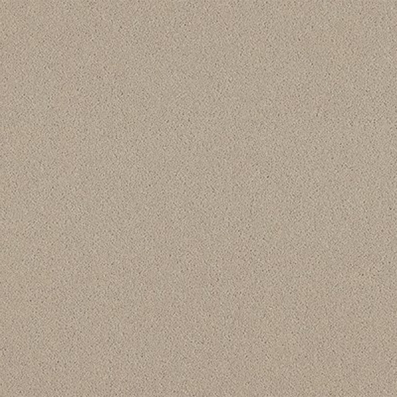 Ulster Natural Choice In Platinum Carpet