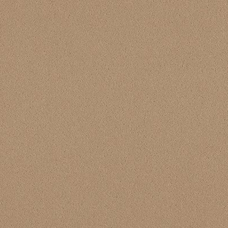 Ulster Natural Choice In Plover Carpet