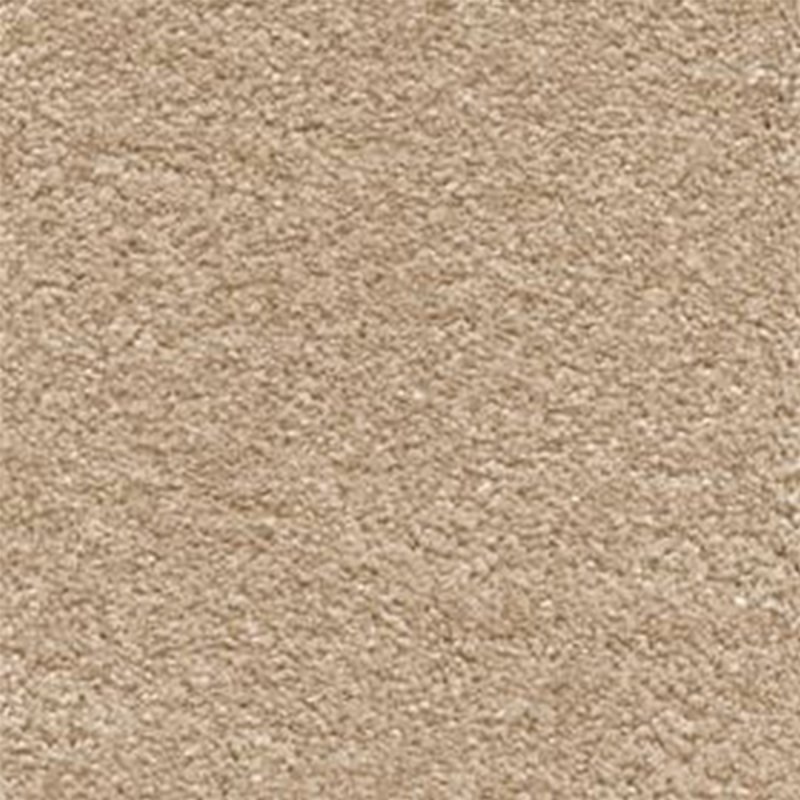 AW Orion In Blanched Almond Carpet