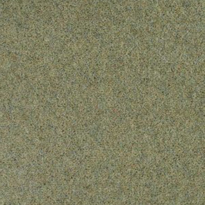 Penthouse Pentwist Colour In Orchard Carpet