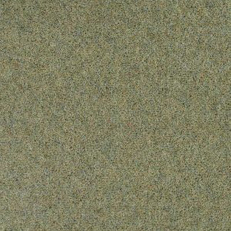 Penthouse Pentwist Colour In Orchard Carpet