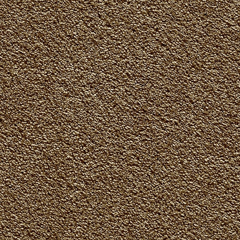 Norfolk Pepina In 141 Little Bear Carpet