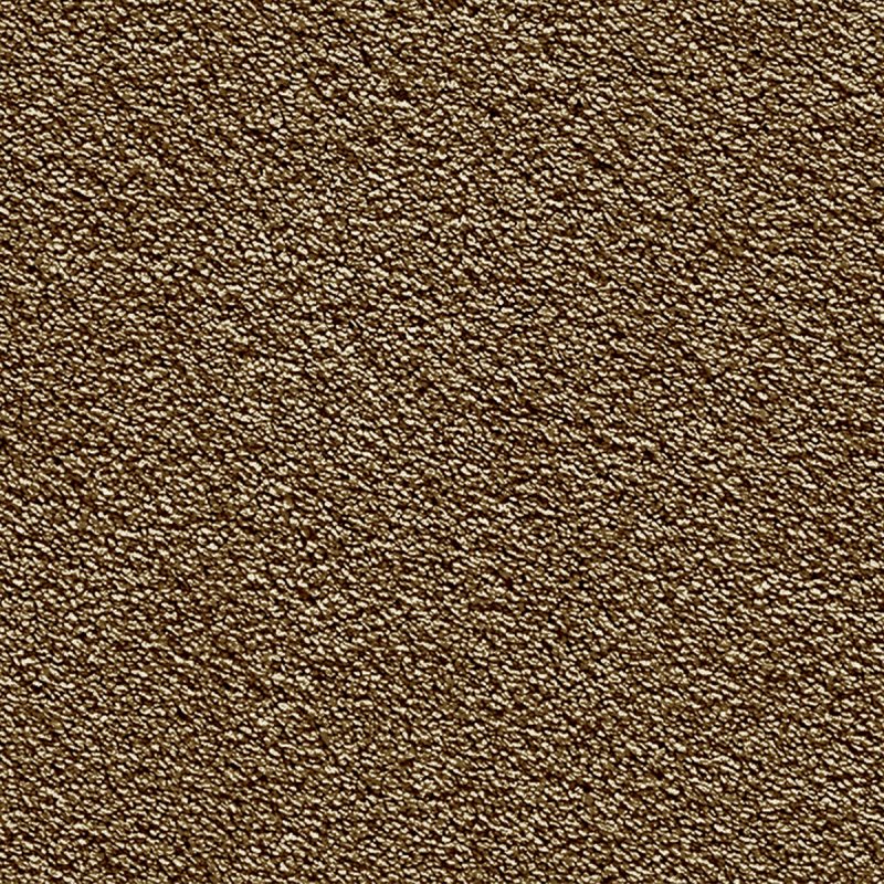 Norfolk & Co. Carpets Pepina In 141 Little Bear Carpet