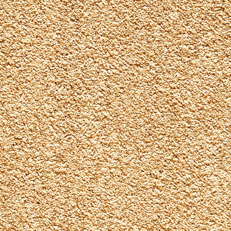 Norfolk & Co. Carpets Pepina In 157 Butter Toast Carpet