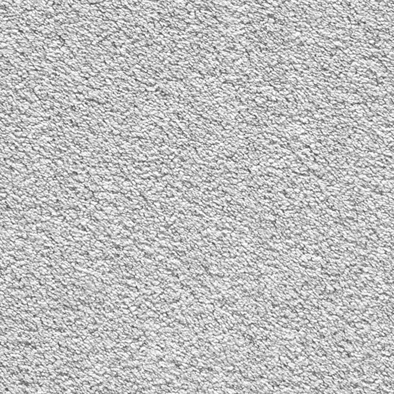 Norfolk & Co. Carpets Pepina In 95 Metallic Carpet