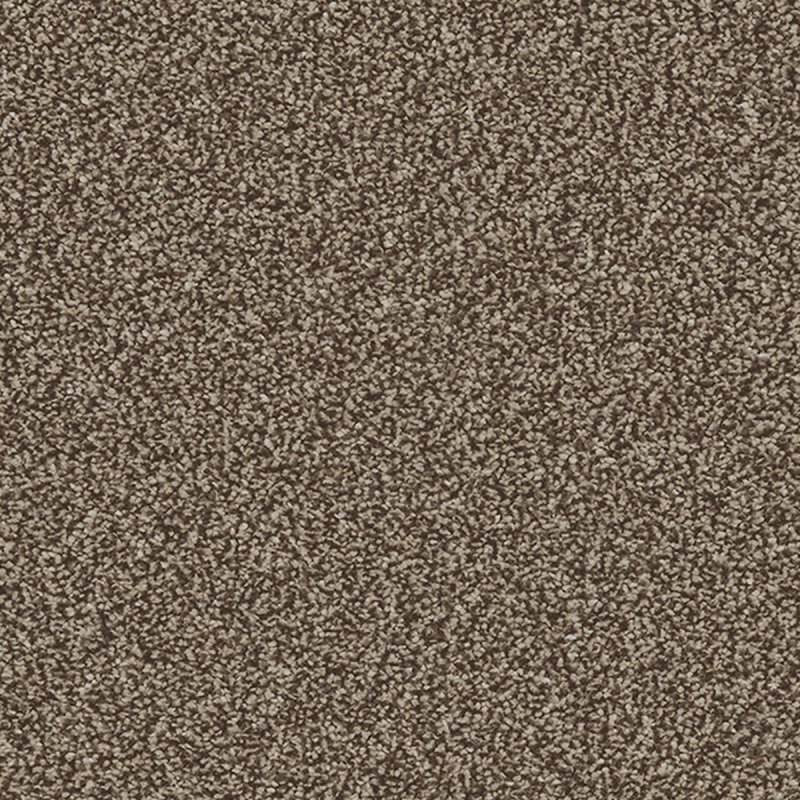 Norfolk Portrush In Bulrush Carpet