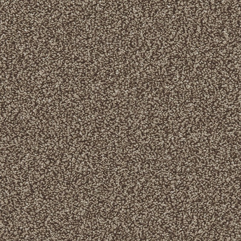 Norfolk & Co. Carpets Portrush In Bulrush Carpet