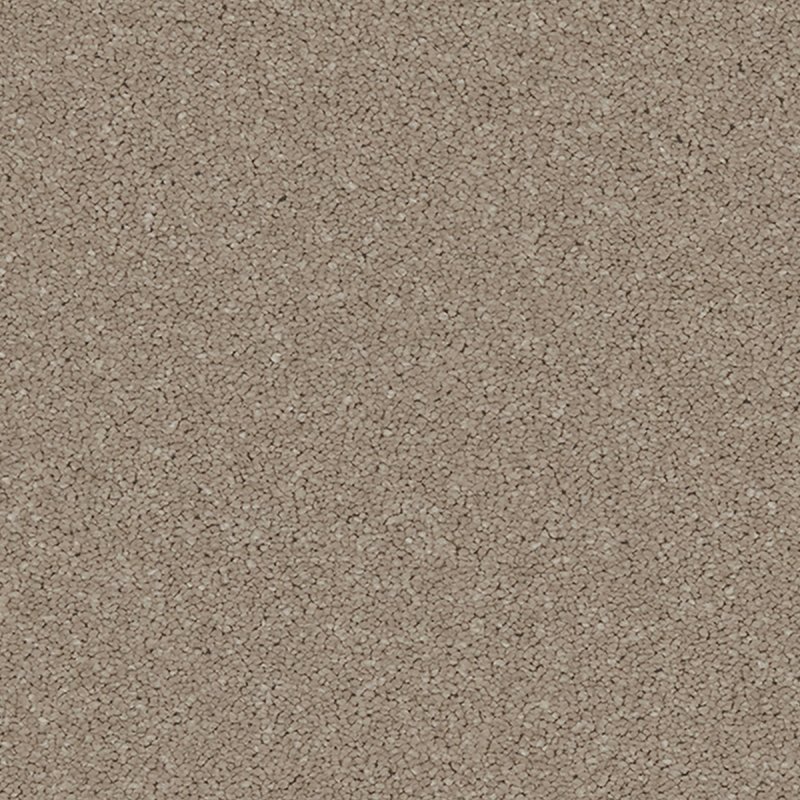 Norfolk Portrush In Cappuccino Carpet