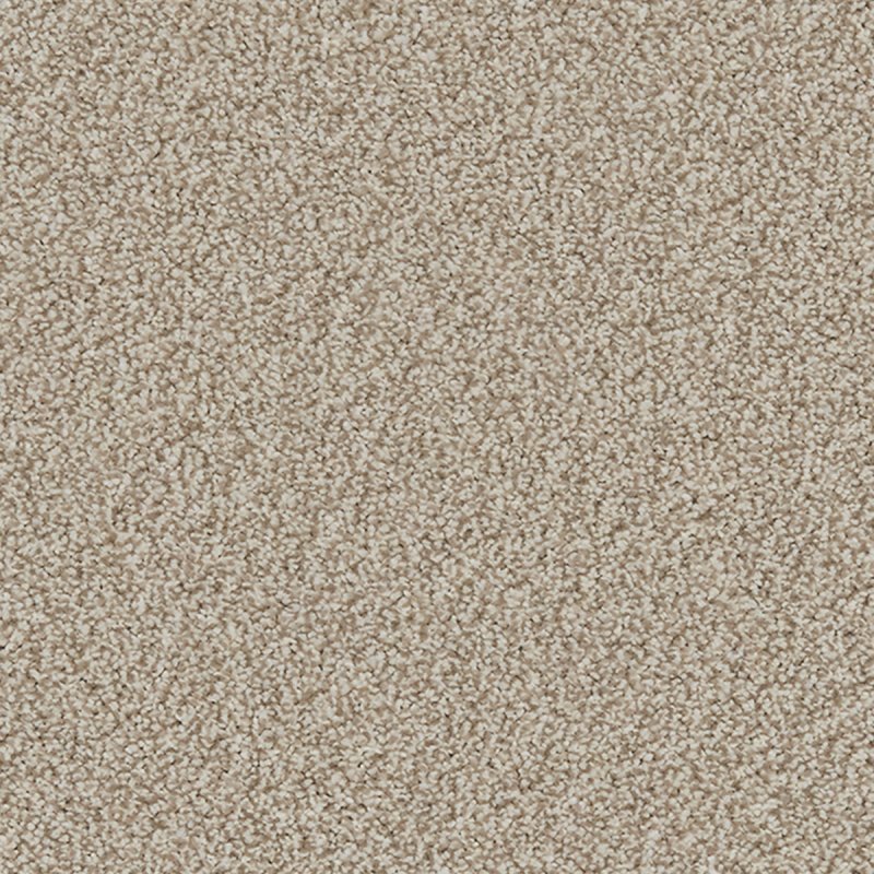 Norfolk Portrush In Impala Carpet