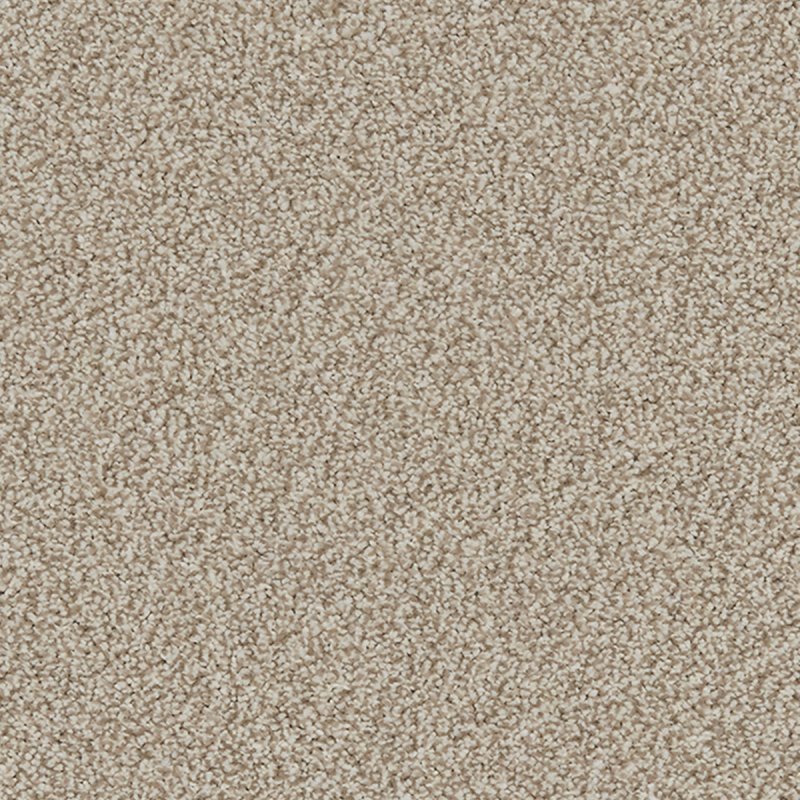 Norfolk & Co. Carpets Portrush In Impala Carpet