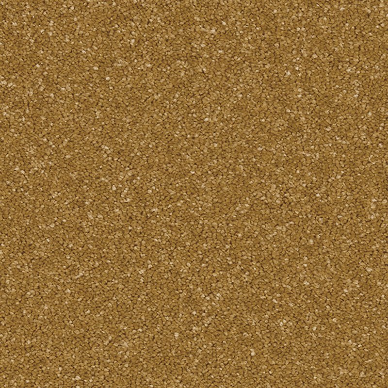 Norfolk & Co. Carpets Portrush In Midas Touch Carpet