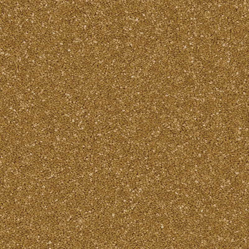 Norfolk Portrush In Midas Touch Carpet