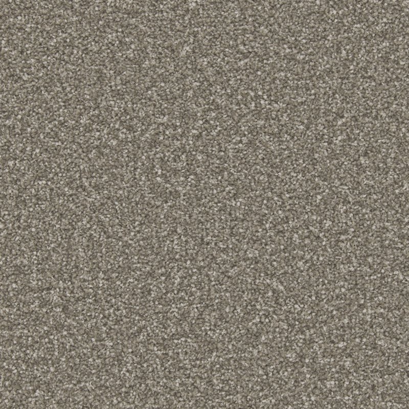 Norfolk Reno Twist In Cinder Grey Carpet