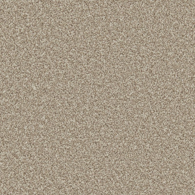 Norfolk Reno Twist In Manhattan Taupe Carpet