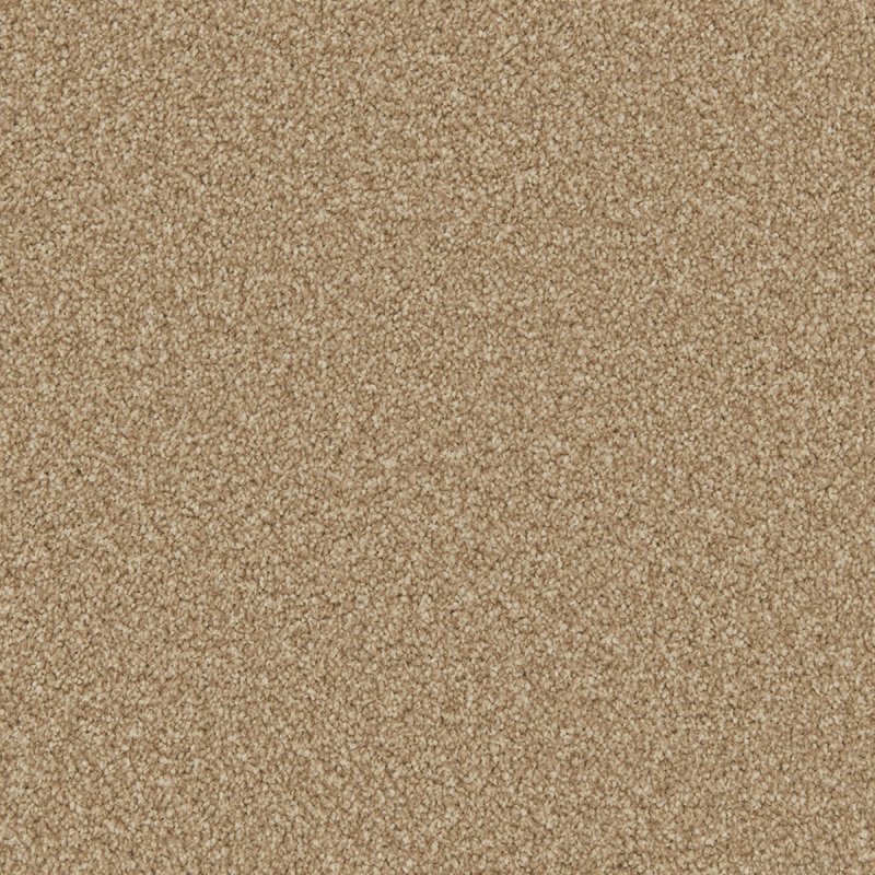 Norfolk & Co. Carpets Reno Twist In Stepping Stone Carpet
