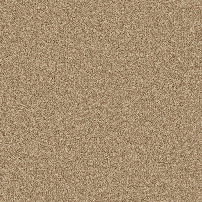 Norfolk Reno Twist In Stepping Stone Carpet