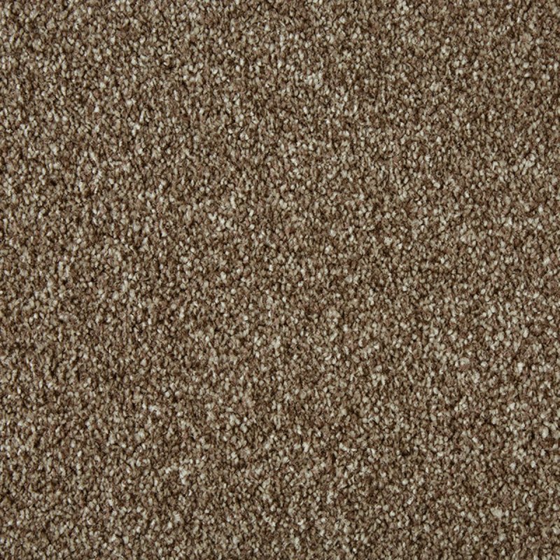 Norfolk Saltfleet In Chocolate Carpet