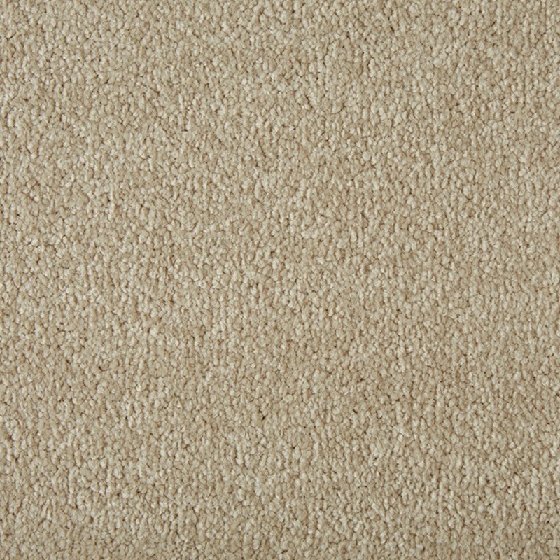 Norfolk & Co. Carpets Select Twist In Putty Carpet