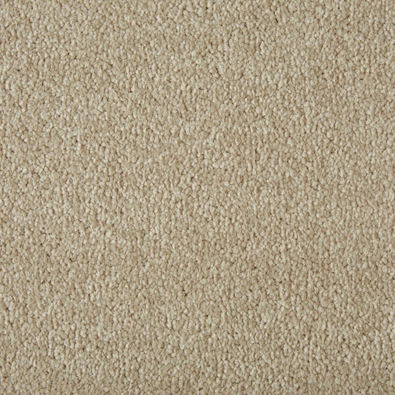 Norfolk Select Twist In Putty Carpet