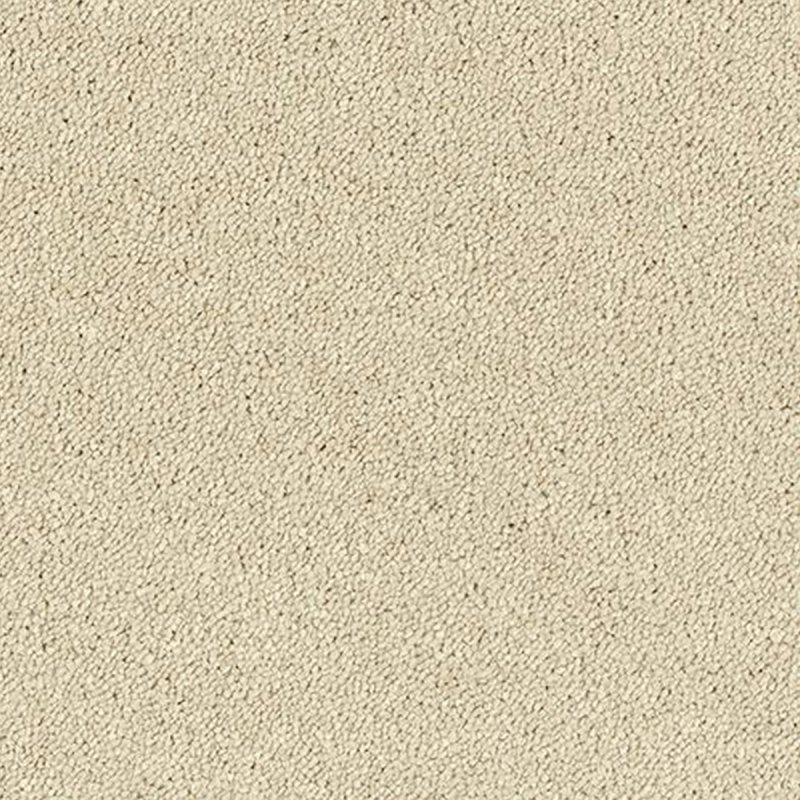 Abingdon Sophisticat In Cotton Carpet