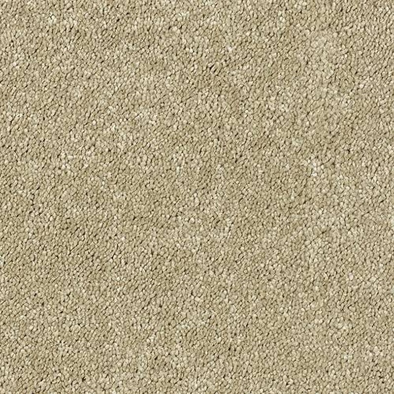 Abingdon Sophisticat In Latte Carpet