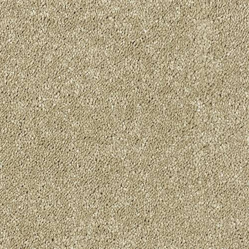 Abingdon Sophisticat In Latte Carpet
