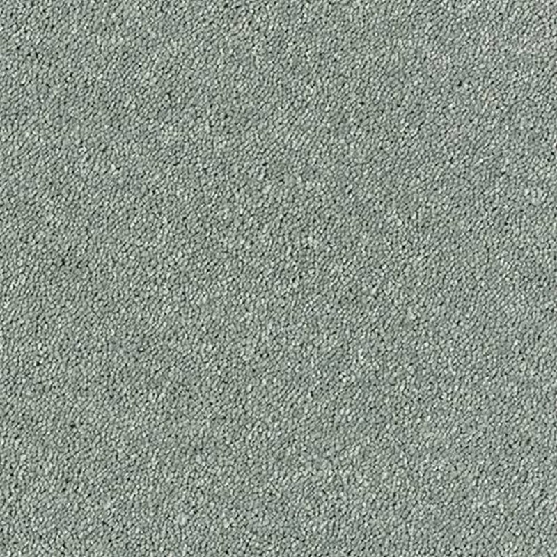 Abingdon Sophisticat In Platinum Carpet