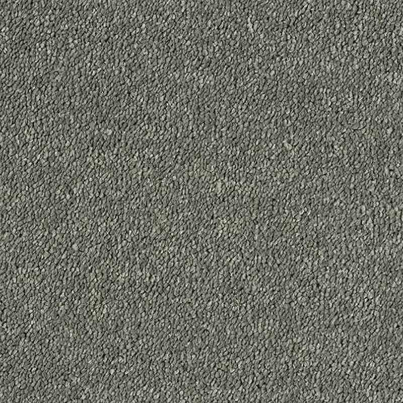 Abingdon Sophisticat In Titanium Carpet