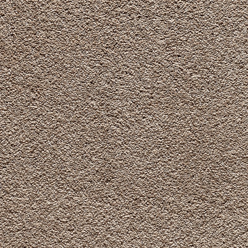 Norfolk & Co. Carpets Splendid In 37 Fudge Carpet