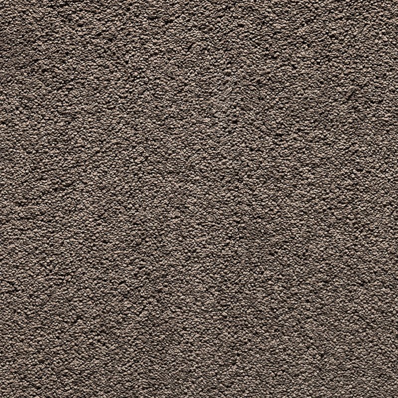 Norfolk & Co. Carpets Splendid In 47 Ramble Carpet