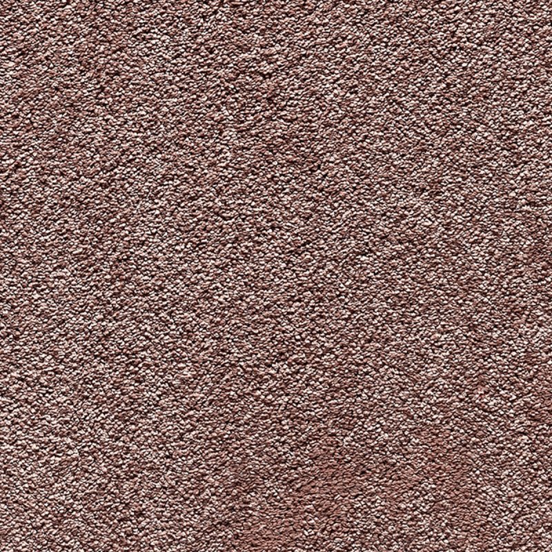 Norfolk & Co. Carpets Splendid In 63 Regal Touch Carpet