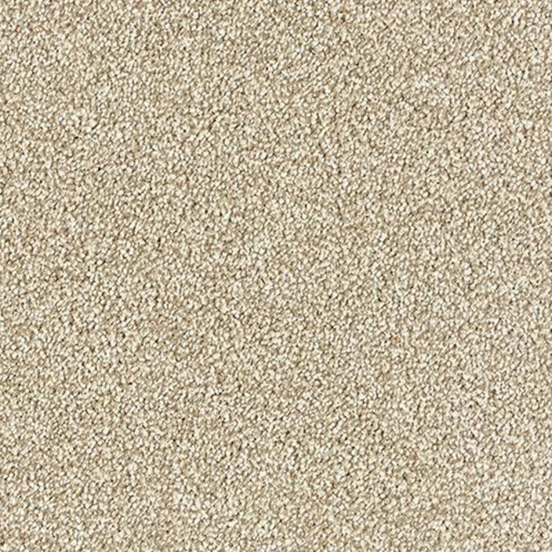 Abingdon Stainfree Grande In Ermine Carpet