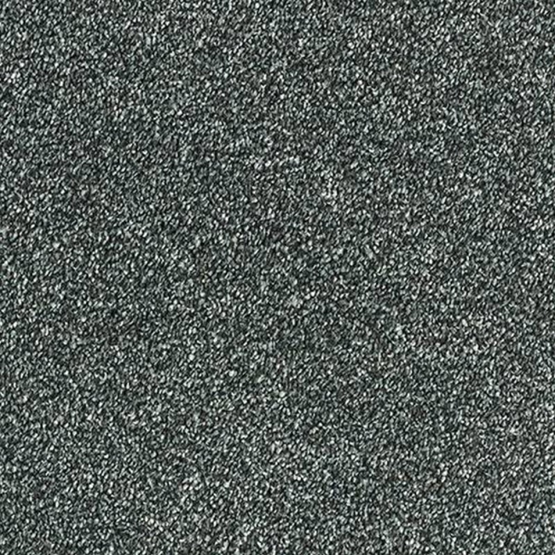 Abingdon Stainfree Grande In Nickel Carpet