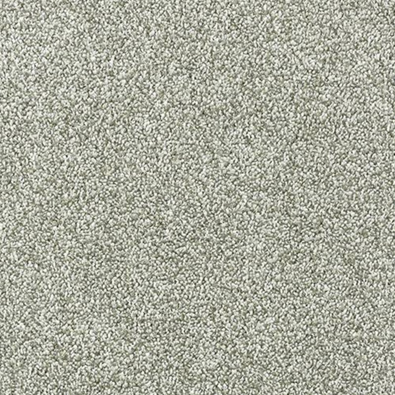 Abingdon Stainfree Grande In Pearl Grey Carpet